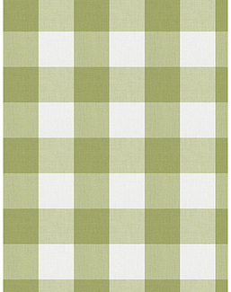 Ткань Fabricut Clean & Classic Indoor/Outdoor Checks & Stripes CampingCheck/Celery