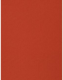 Ткань Stroheim Dana Gibson Prints II Meriwether/Kumquat