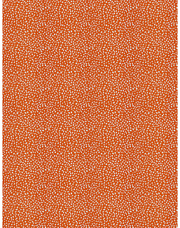 Ткань Stroheim Dana Gibson Prints II Little ditty/Orange
