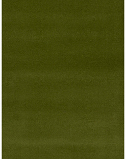 Ткань Stroheim Nottingham Velvet Nottingham Velvet/Avocado