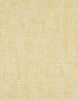 Ткань Kravet Gis Performance Honey 34774/416