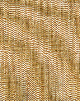 Ткань Kravet Gis Performance Honey 34774/616