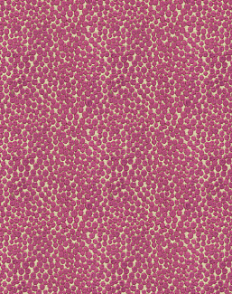 Ткань Kravet Modern Colors Festival 32972/10