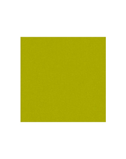 Ткань Kravet Modern Colors Festival 32974/323
