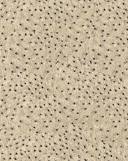 Ткань Kravet Modern Luxe Mica 32515/101
