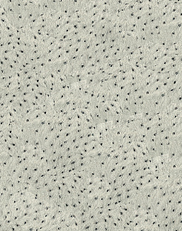 Ткань Kravet Modern Luxe Platinum 32515/11