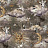 Обои Santorus Collection 2 WP140348