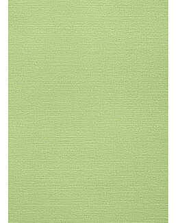 Обои Thibaut Texture Resource 6 TWW287