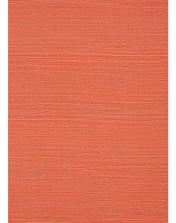 Обои Thibaut Texture Resource 6 TWW289