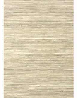 Обои Thibaut Texture Resource 6 TWW296