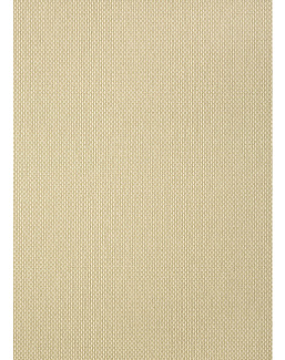 Обои Thibaut Texture Resource 6 TWW307