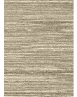 Обои Thibaut Texture Resource 6 TWW75147