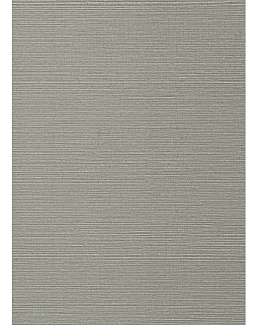 Обои Thibaut Texture Resource 6 TWW75150