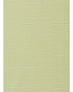 Обои Thibaut Texture Resource 6 TWW75153