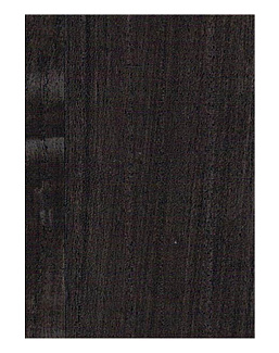 Обои Yana Svetlova Wallcoverings Paulownia G0121NV1017