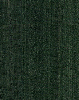 Обои Yana Svetlova Wallcoverings Paulownia G0121NV1021