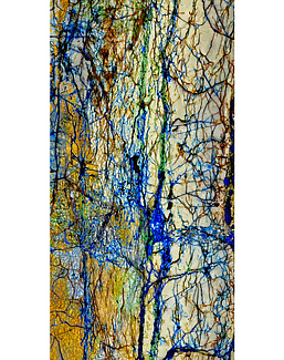 Панно и фотообои Tecnografica Decorative Panels 71335-3