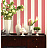 Обои York Ashford House - Ashford Stripes SA9179