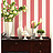 Обои York Ashford House - Ashford Stripes SA9179