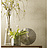 Обои York Ashford House - Gentle Manor GG4792