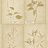 Обои Ralph Lauren Serengeti Textures LWP65013W