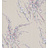 Обои Cole & Son New Contemporary 2 69/11142
