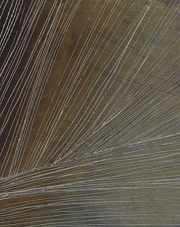Обои Glamora Creative Wallcovering GLXI541A