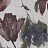 Обои Glamora Creative Wallcovering GLXI71A
