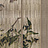 Обои Glamora Creative Wallcovering GLXI771A