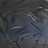 Обои Glamora Creative Wallcovering GLXI41A