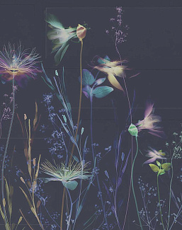 Обои Glamora Creative Wallcovering GLXI272A