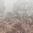 Обои Glamora Creative Wallcovering GLXI122A