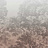 Обои Glamora Creative Wallcovering GLXI122A