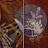 Обои Glamora Creative Wallcovering GLXI52A