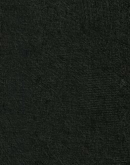 Обои Phillip Jeffries Performance Vinyl 8722