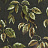 Обои Designers Guild Minakari PDG1127/05