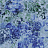 Обои Designers Guild Minakari PDG1126/07
