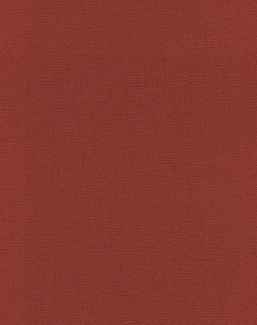 Обои Rasch Onszelf Stories 531374