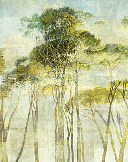 Панно и фотообои Khroma Wall Designs II DG2HYM1011