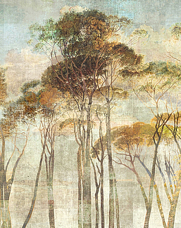 Панно и фотообои Khroma Wall Designs II DG2HYM1023