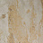 Обои Bekaert Loft Platanus/103