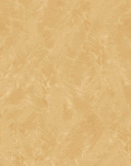 Обои Parato Cristiana Masi (Lusso) 48673