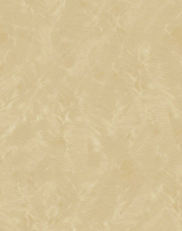 Обои Parato Cristiana Masi (Lusso) 48679