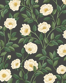 Обои Cole & Son Historic Royal Palaces - Great Masters 118/7016