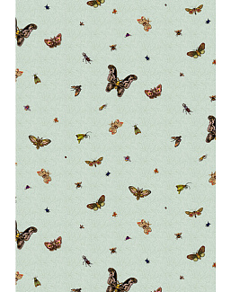 Обои Timorous Beasties Ruskin Collection RUS/NCR/MATT/03