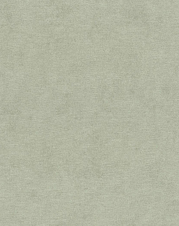 Обои Rasch Kimono 408171