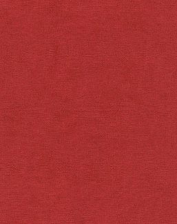Обои Rasch Kimono 408195