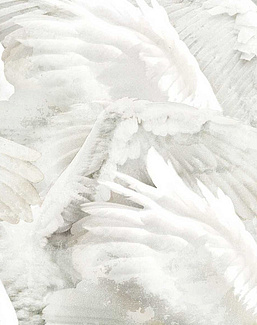 Панно и фотообои Inkiostro Bianco Story 2013/2019 Collections INKRABH1801