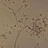 Обои Atlas Wallcoverings No Complex 618-2