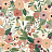 Обои York Rifle Paper Co RI5122